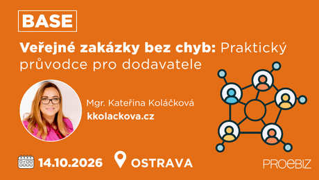 Veřejné zakázky bez chyb: Praktický průvodce pro dodavatele
