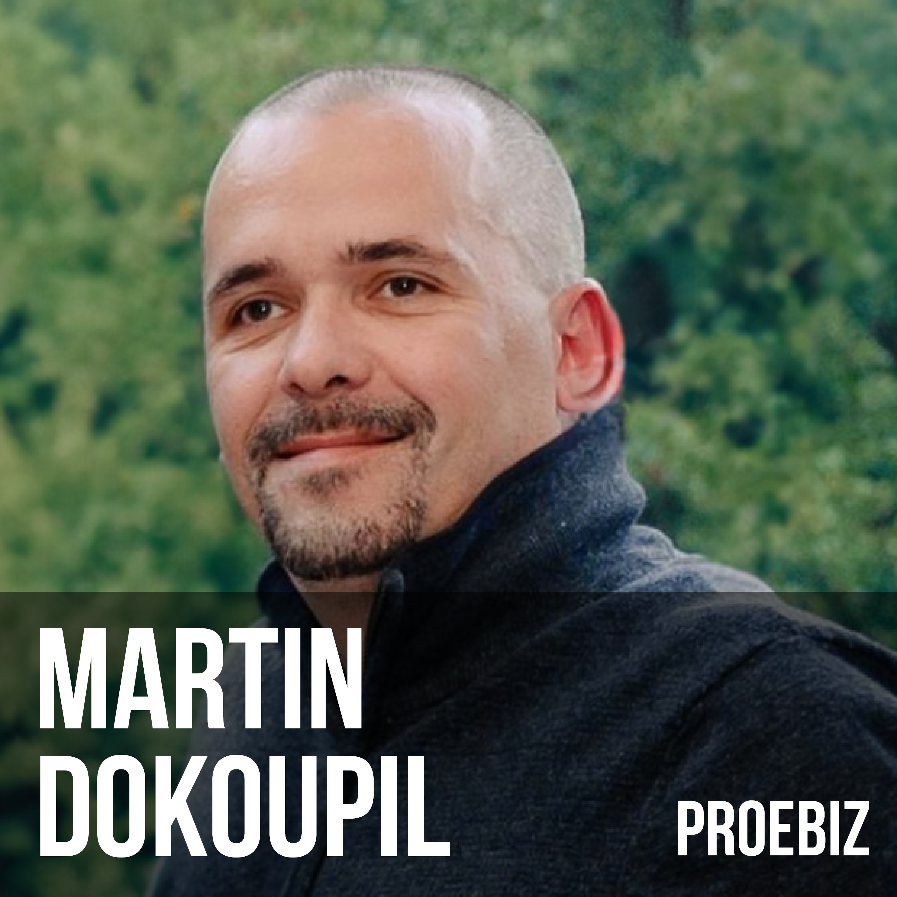 Martin Dokoupil